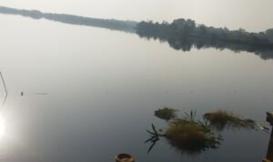 IMG_20231105_072447